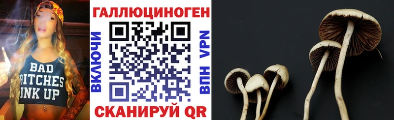 где найти   ОМГ ОМГ как войти  Псилоцибиновые грибы Psilocybe  Калачинск 